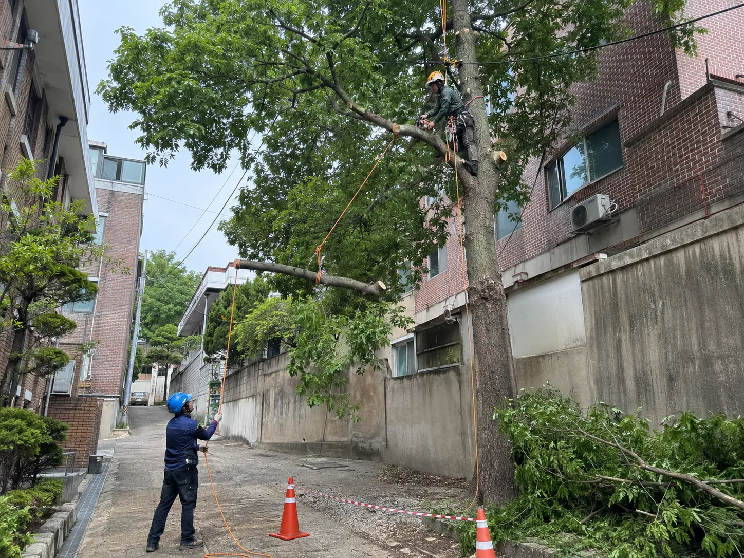 작업자 사진